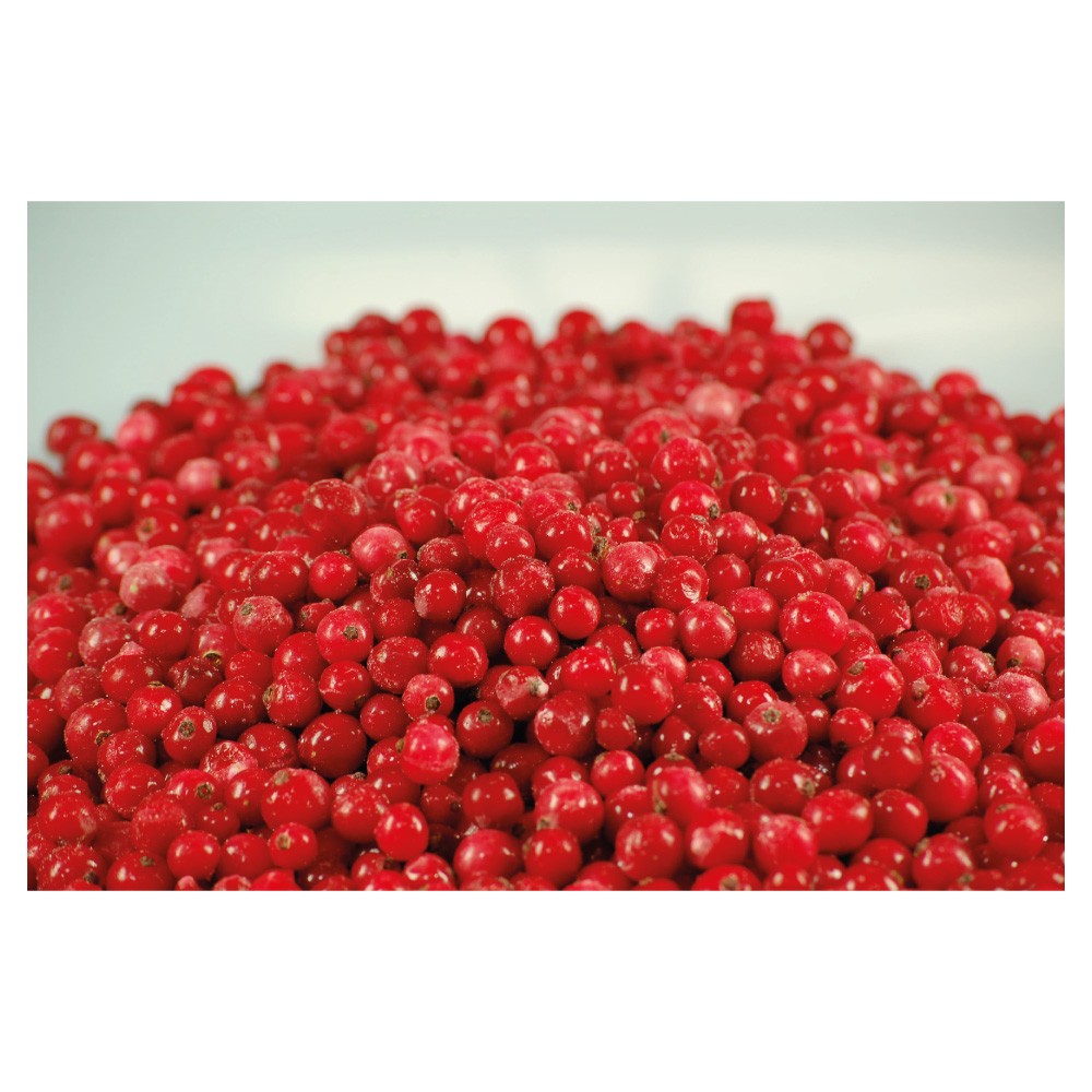 Rote Johannisbeeren