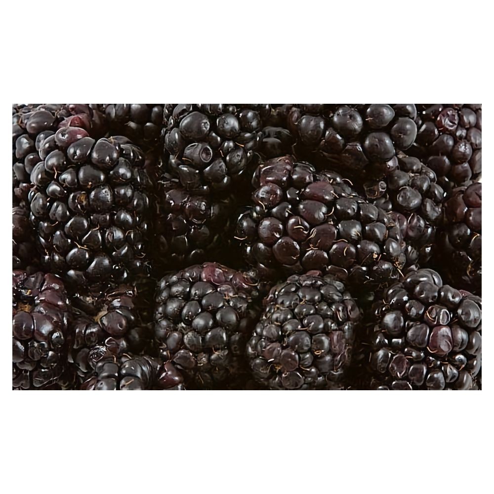 Brombeeren